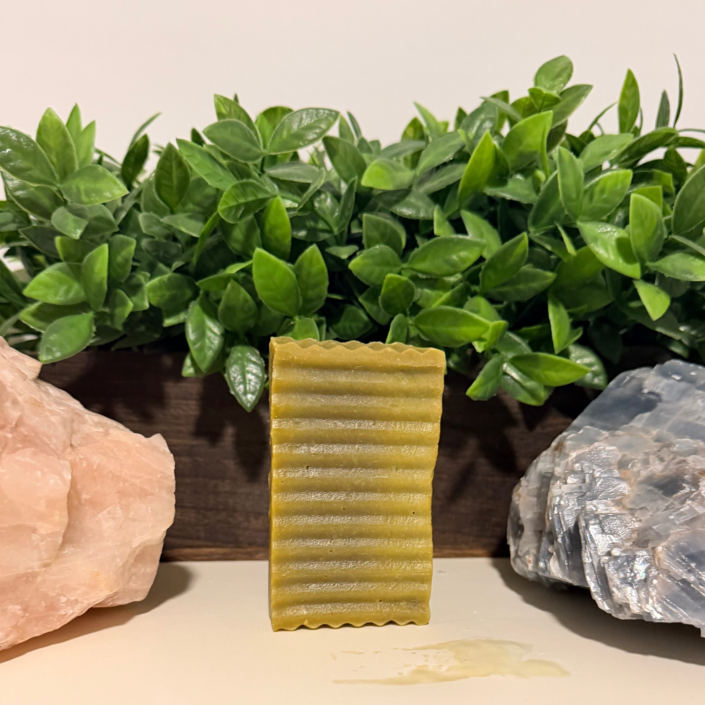 MORINGA CARE BAR